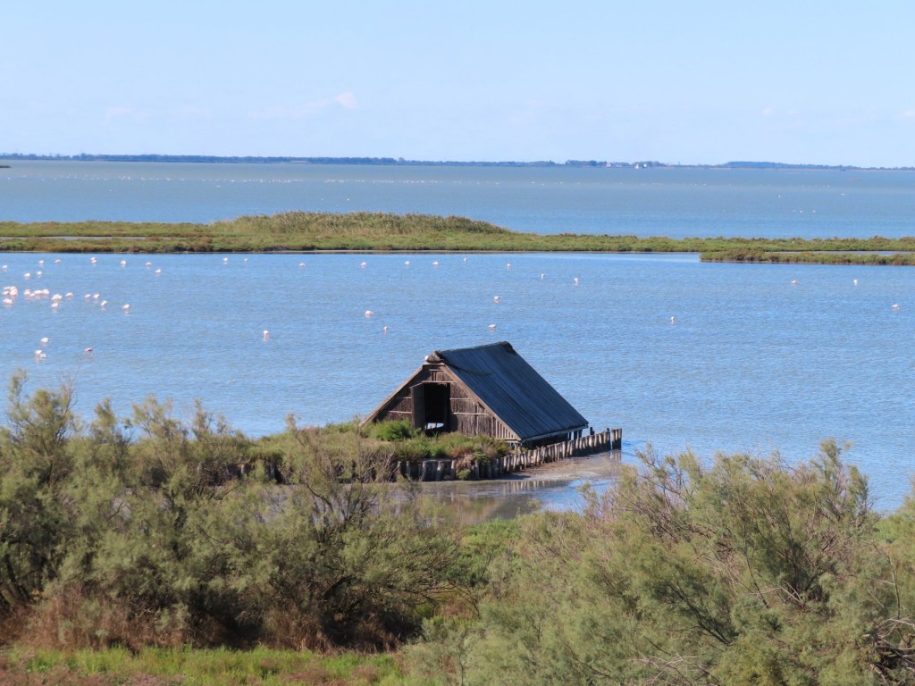 Sector 2 - Valli di Comacchio